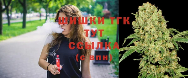 эйфоретик Аркадак