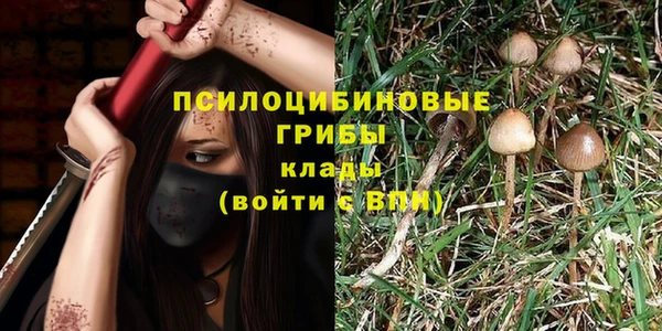 ГАЛЛЮЦИНОГЕННЫЕ ГРИБЫ Баксан