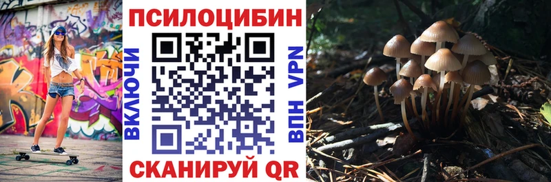 Купить где  Семилуки  Псилоцибиновые грибы мицелий 